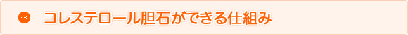 コレステロール胆石ができる仕組み