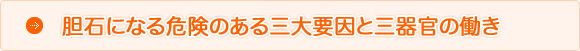 胆石になる危険のある三大要因と三器官の働き